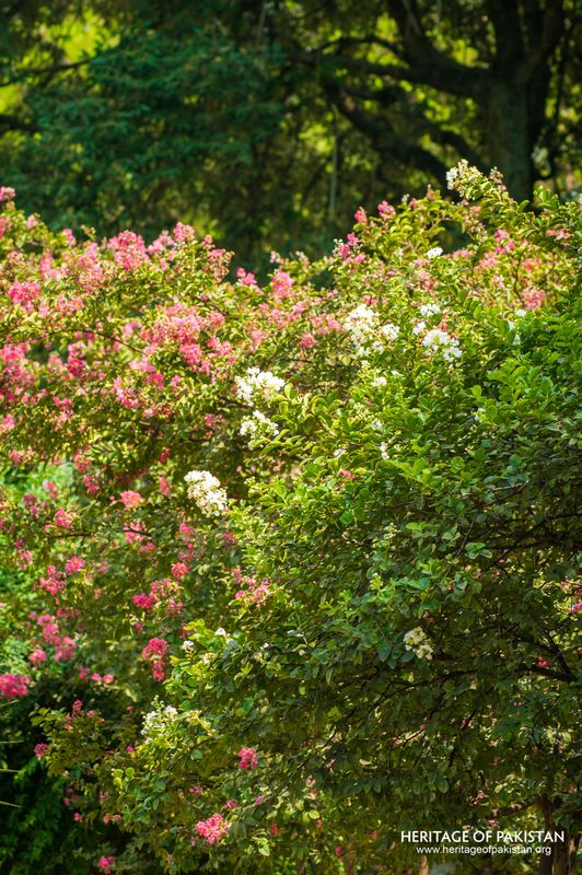 Layered plantings create color and texture throughout the park.